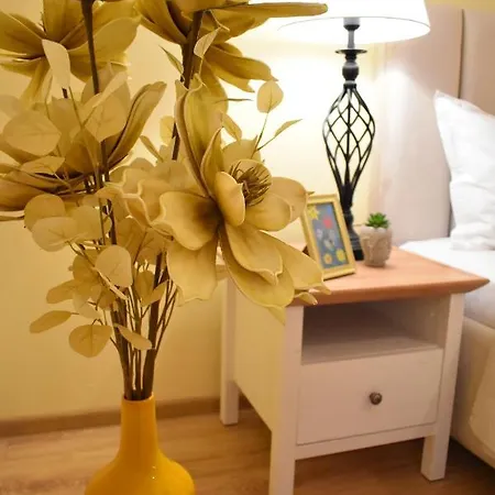 Apartmán Dm Studio Bukurešť